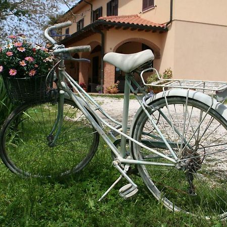 Vila Agriturismo Diciocco Venturina Terme Exteriér fotografie