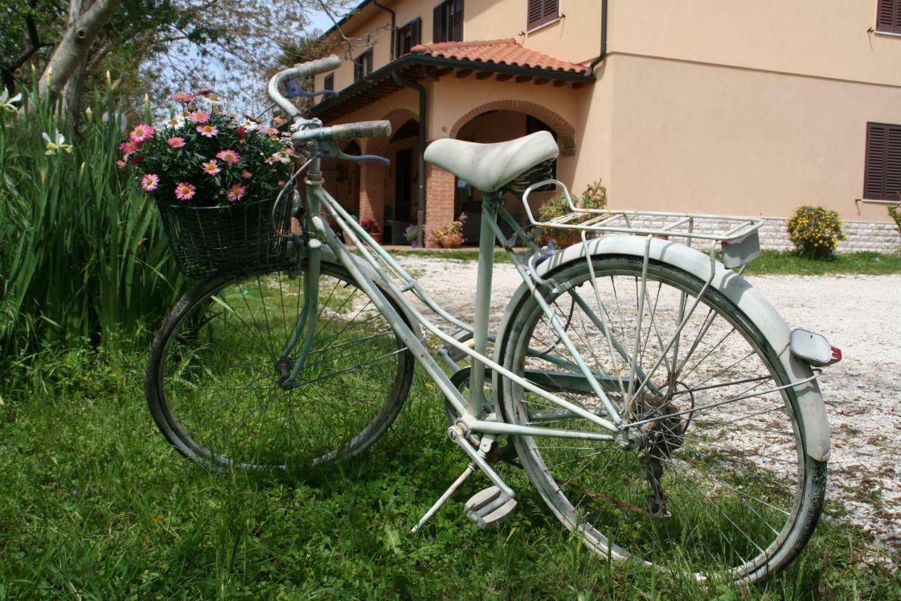 Vila Agriturismo Diciocco Venturina Terme Exteriér fotografie