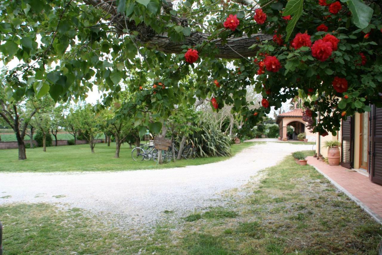 Vila Agriturismo Diciocco Venturina Terme Exteriér fotografie